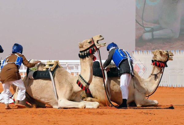 The King Abdul Aziz Camel Festival (KAACF) recently organized the “Tack up & Race” competition in Al Sayahid Al Janoubia, northeast of Riyadh.
