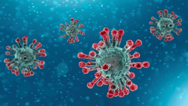  The undersecretaries of the ministries of health of the Gulf Cooperation Council countries held their 12th meeting to discuss the latest developments with regard to the coronavirus pandemic. — WAM photo