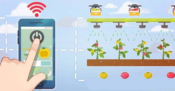 This undated file graphic shows a smart farm. — courtesy Yonhap