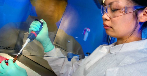 File photo shows a scientist studies virus samples. — courtesy CDC