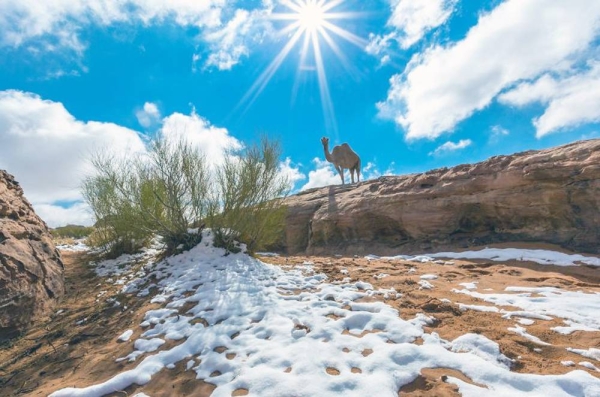 Jebel Al-Lawz, rising 2,580m above sea level, is one of the most famous mountains in the Kingdom to experience winter season. The mountain stands snow-covered in winter.