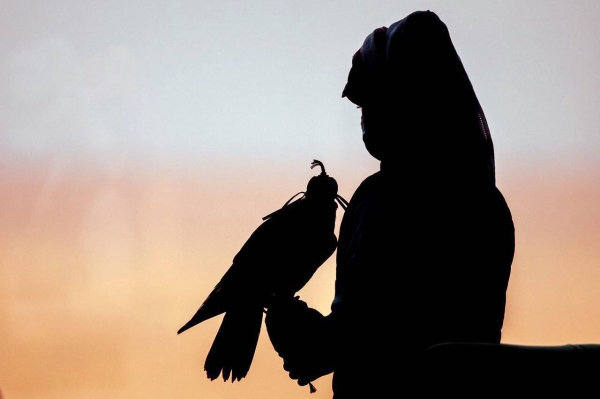Falconers across the Kingdom have lauded the decision of the National Center for Wildlife (NCW) to ban hunting of Falco Peregrinus (Shaheen) and Lanner Falcon/Falco Biarmicus (Wakri) in addition to other types of falcons.