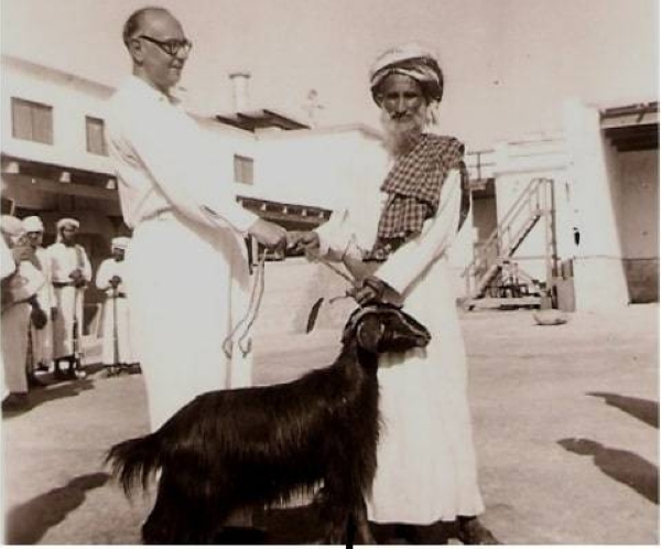 As thousands of hotels across the UAE are getting ready this year to welcome Dubai Expo 2020 guests and delegates, the BOAC Rest House remains dearly in the memory of the nation as the first hotel to be built in the 1930s. — WAM photos