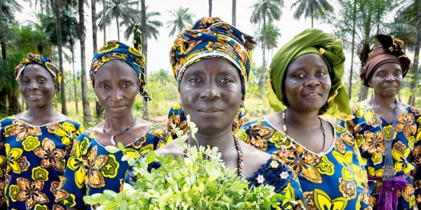 UN Women are helping women farmers in Guinea with new opportunities to generate income and improve community life. — courtesy UN Women/Joe Saade