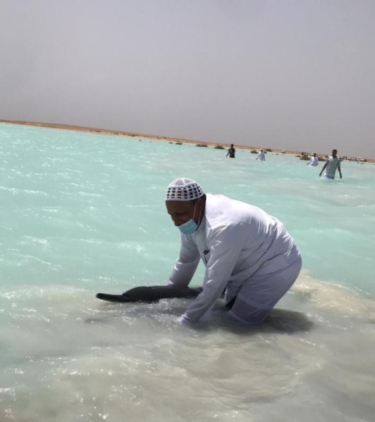 Stranded dolphins moved back to sea at Ras Al-Shabaan in Umluj