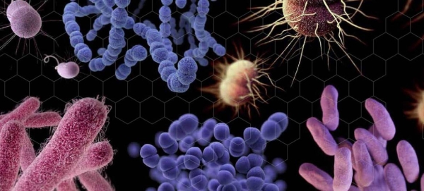 A shortage of new treatments for serious illnesses has left people dangerously exposed to the world’s most dangerous bacteria. —Courtesy file photo