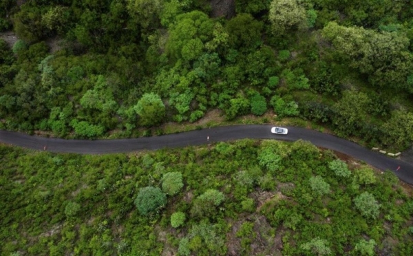 The “Green Saudi” and the “Green Middle East” initiatives, the largest of their kind in the world, are aimed to protect the planet through containing climate change and promoting nature and thus enabling the Kingdom emerge as a global leader in forging a greener world. — SPA photo
