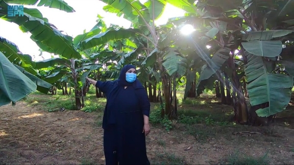  Zulaikha A-Kaabi managed to achieve resounding success by planting as many as 100,000 banana trees. — SPA photo
