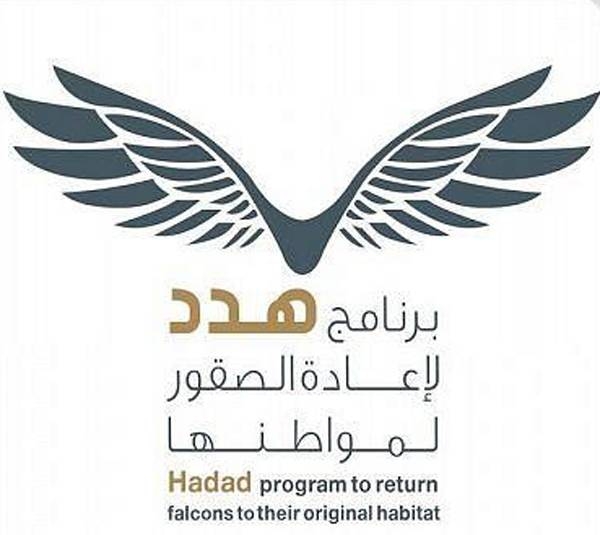 Saudi Arabia reintroduces falcons to their natural homes to mark World Migratory Bird Day