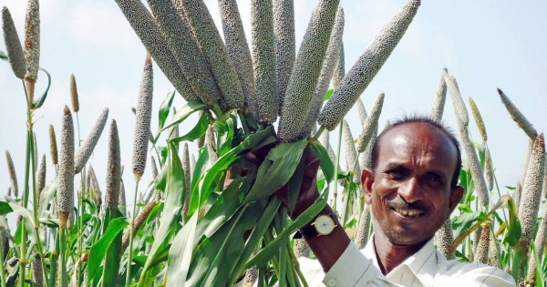 Women carrying pearl millet harvest home in Mali. — courtesy ICRISAT/Agathe Diama