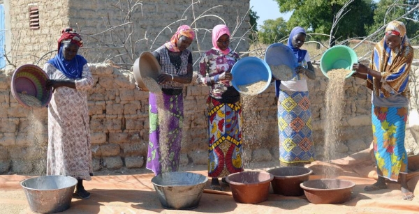 Women carrying pearl millet harvest home in Mali. — courtesy ICRISAT/Agathe Diama