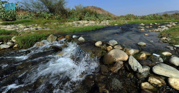Saudi Arabia joins the world in celebrating World Environment Day