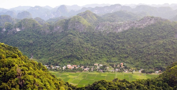 Restoring natural habitats can help to address climate and biodiversity crises. — courtesy CIFOR/Terry Sunderland