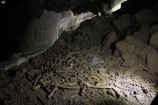 Heritage Commission announces new 7,000-year-old discovery in Umm Jirsan Cave