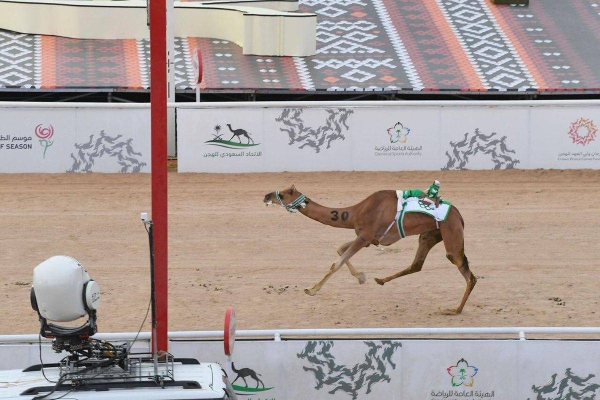 Third edition of Crown Prince Camel Festival to kick off on Aug. 8 in Taif