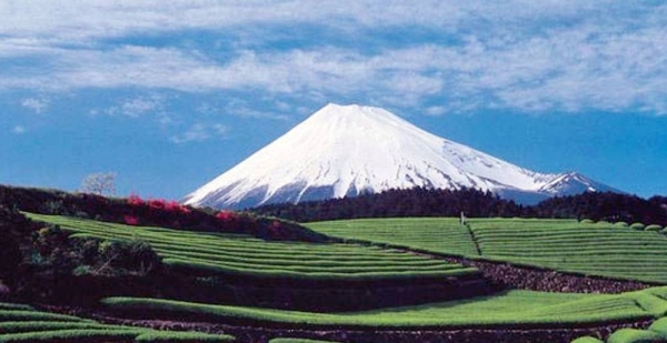 

Japan's sacred Mount Fuji, in Shizuoka Prefecture, where a deadly landslide killed dozens over the weekend, in Atami. — courtesy Shizuoka Prefectural Tourism Association