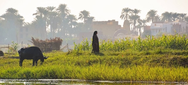 The Nile has delivered freshwater, fed agriculture, and supported livelihoods in Egypt, Ethiopia and Sudan for thousands of years. — Courtesy file photo
