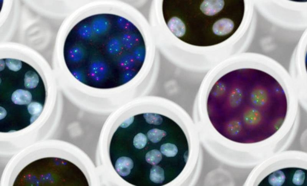 While potential benefits of human genome editing include a faster and more accurate diagnosis, it must be used as a safe and ethical tool for public health. — courtesy CDC