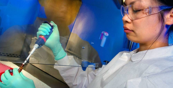 While potential benefits of human genome editing include a faster and more accurate diagnosis, it must be used as a safe and ethical tool for public health. — courtesy CDC