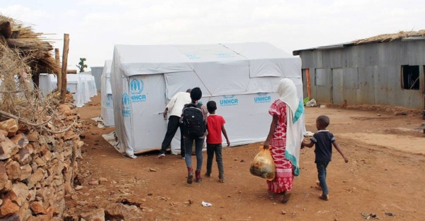 Humanitarian aid being delivered to the Tigray region of Ethiopia by a convoy of 50 trucks. — courtesy WFP