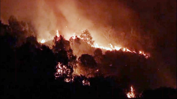 Dozens of panicked tourists and locals were evacuated by boat in Italy and Turkey as forest fires raged in both nations over the weekend.