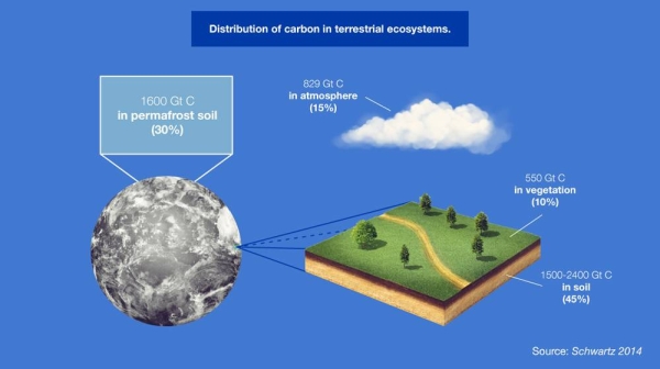 (Image: A. Vargas/IAEA)