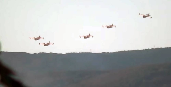France has mobilized two Canadair-type firefighting planes to help Algeria fight forest fire.