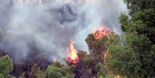 Fires are raging in Tunisian west-central region of Kassrine burning wide swaths of wooded and shrub lands.