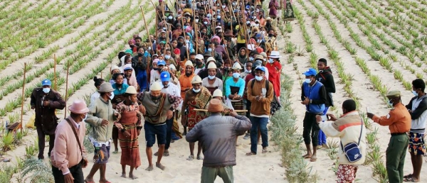 The community in Maroalomainty in the south of Madagascar has planted vegetation to mitigate the effects of climate change. — courtesy UN Madagascar