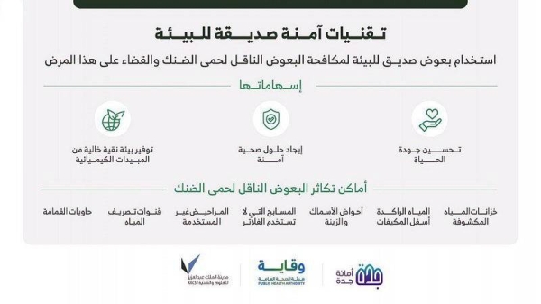 حلول صديقة للبيئة في جدة لحمى الضنك