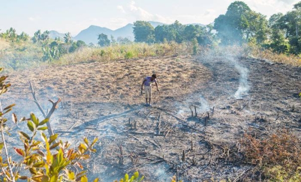A farmer prepares to burn crop remnants in a field in Punjab, India. — courtesy CIAT/Neil Palmer