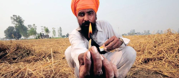 A farmer prepares to burn crop remnants in a field in Punjab, India. — courtesy CIAT/Neil Palmer