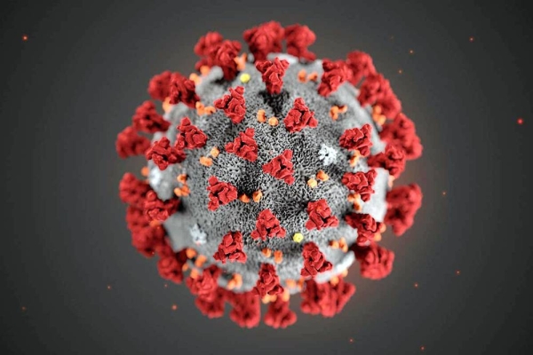 COVID creates frenzy in scientific community, over a name