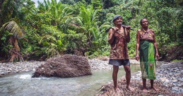 In Indonesia many people rely on forest biodiversity for their livelihoods. — courtesy CIFOR/Ulet Ifansasti