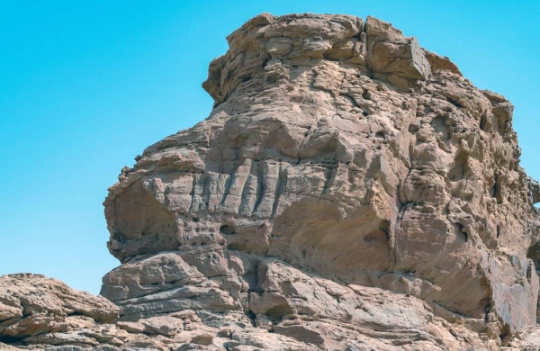 A scientific study by the Saudi Heritage Commission with Saudi and international researchers, has been able to date rock carvings at the ‘Camel Site’ in Al-Jouf back to the Neolithic period.