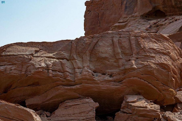 A scientific study by the Saudi Heritage Commission with Saudi and international researchers, has been able to date rock carvings at the ‘Camel Site’ in Al-Jouf back to the Neolithic period.