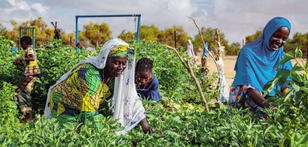 In southern Mauritania, a market garden run by a women's cooperative uses solar energy to irrigate crops. — courtesy UNICEF/Raphael Pouget