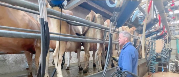 British farmers are finding it difficult to ship milk as fuel and drivers shortage along with Brexit bites.