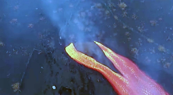 Earthquakes rattled La Palma in Spain's Canary Islands on Monday, as lava continued to flow from vents in the volcano that has been erupting since Sept. 19.