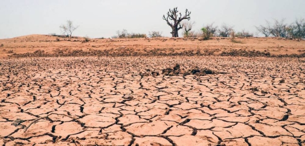 
Senegal is one of six countries that has been affected by acute drought this year. — courtesy UNOCHA/Eve Sabbagh