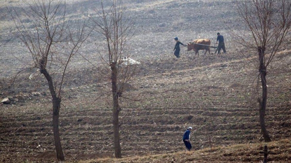 File photo of North Korean farmers working the fields.