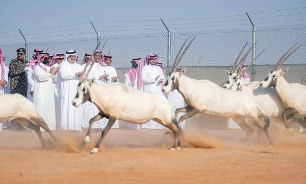 Prince Abdulaziz Bin Saud Bin Naif, minister of interior and chairman of Board of Directors of King Abdulaziz Royal Reserve, inspected here Wednesday the reserve.