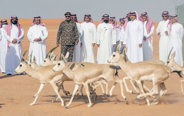 Prince Abdulaziz Bin Saud Bin Naif, minister of interior and chairman of Board of Directors of King Abdulaziz Royal Reserve, inspected here Wednesday the reserve.