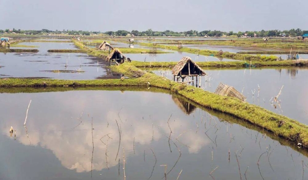 The apathy to blue revolution has changed considerably with India’s first and biggest fisheries scheme called the Pradhan Mantri Matsya Sampada Yojana (PMMSY).