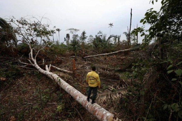 Deforestation increased in the Amazon by 22% during the 2020-21 period.