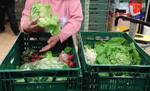 UN calls for strengthening food sector against shocks
