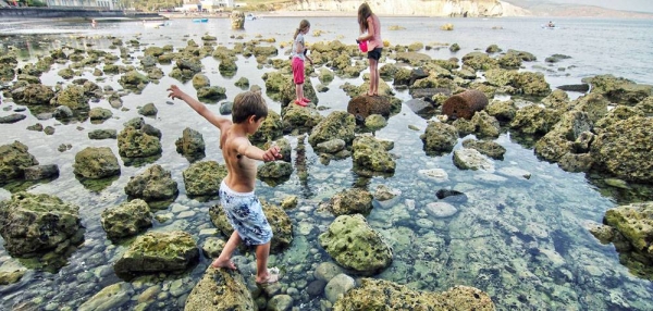 


Isle of Wight Biosphere Reserve in the United Kingdom is developing eco-tourism and testing new measures for climate change mitigation and adaptation. — courtesy UNESCO/Courtesy Visit Isle of Wight - United Kingdom