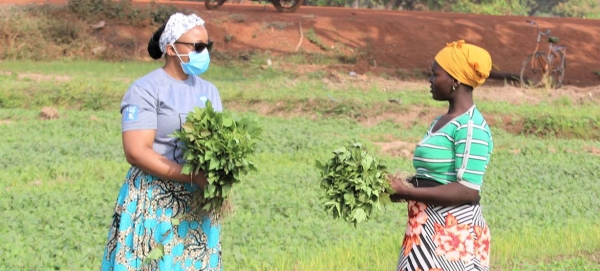 Women farmers in Ghana are being encouraged to adapt to changes in the climate.
