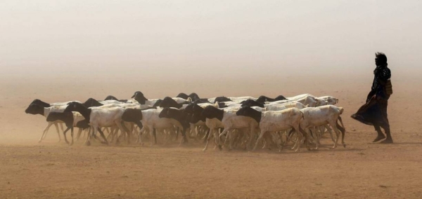 The UN is providing $20 million in CERF to mitigate the loss of livelihoods and declines in food consumption after erratic rainfall in parts of Ethiopia depleted water supplies.