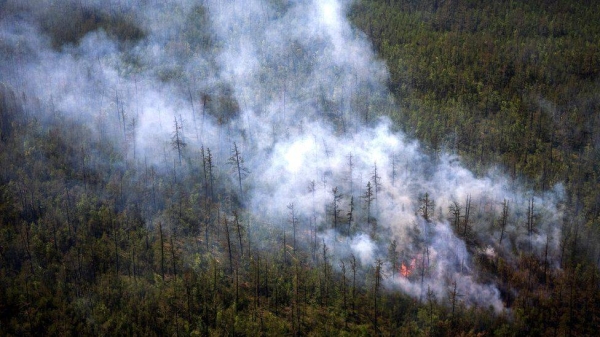 Wildfires have been made more severe by high temperatures and strong winds in the Arctic.